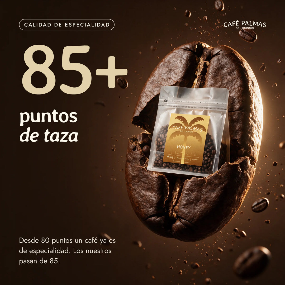 Calidad de especialidad: 85+ puntos de taza
